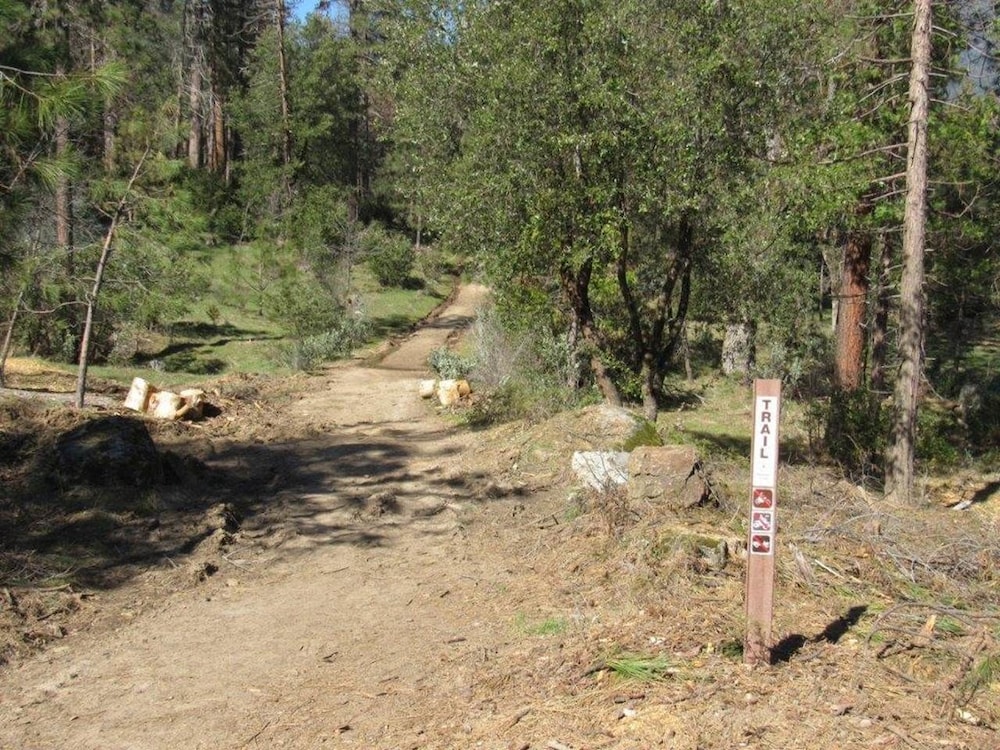 Yosemite Scenic Wonders - Wawona Area