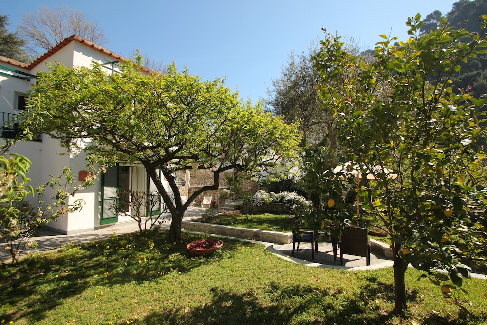 Photo 44
