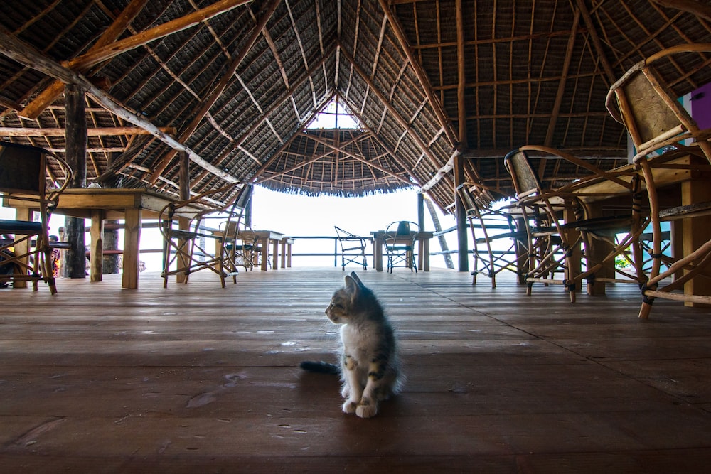 Tsunami Village