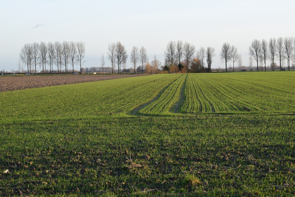 Dike House in Schoondijke Near Beaches view 3