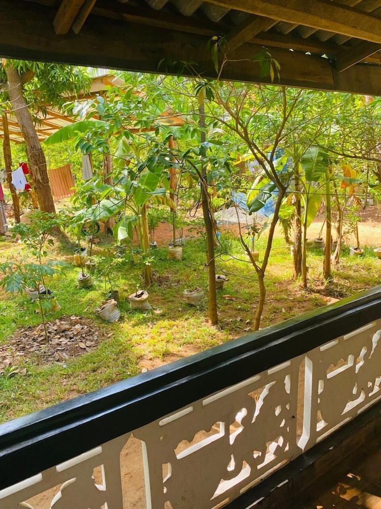 Elephant Safari Lodge
