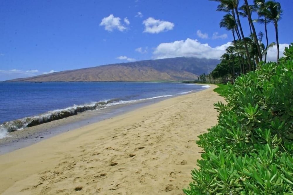 Kihei Beach, #505 1 Bedroom Condo