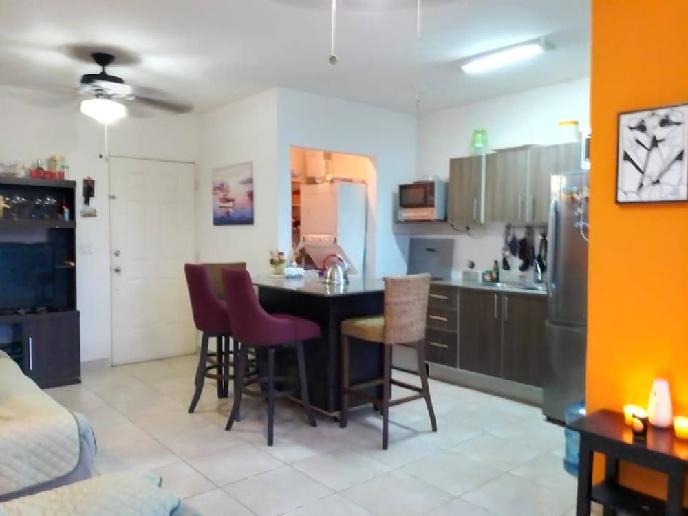 Room in Guest Room - Room in Comfortable Apartment Located on the Beach Very Close to the City