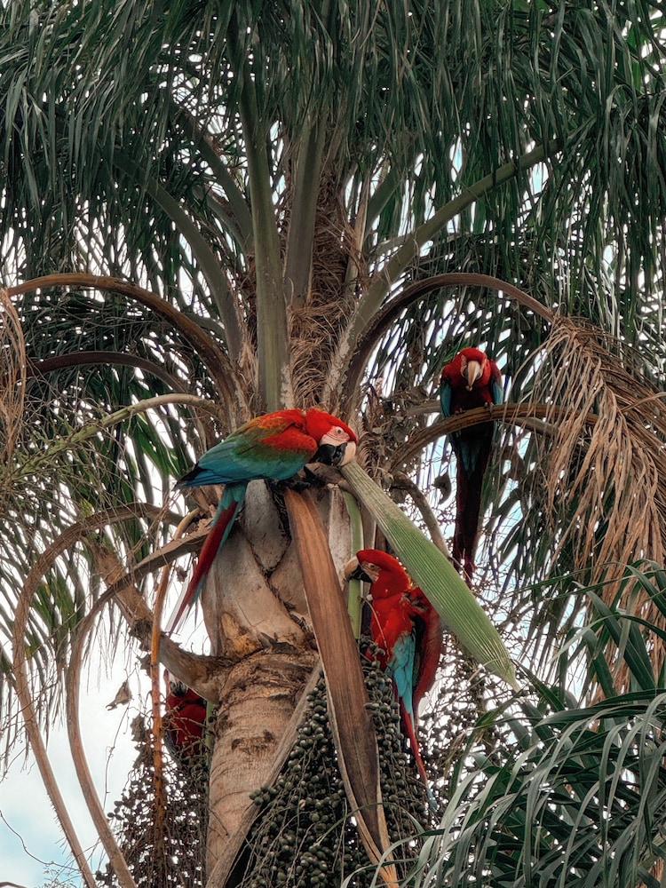 Wild Wetlands Lodge