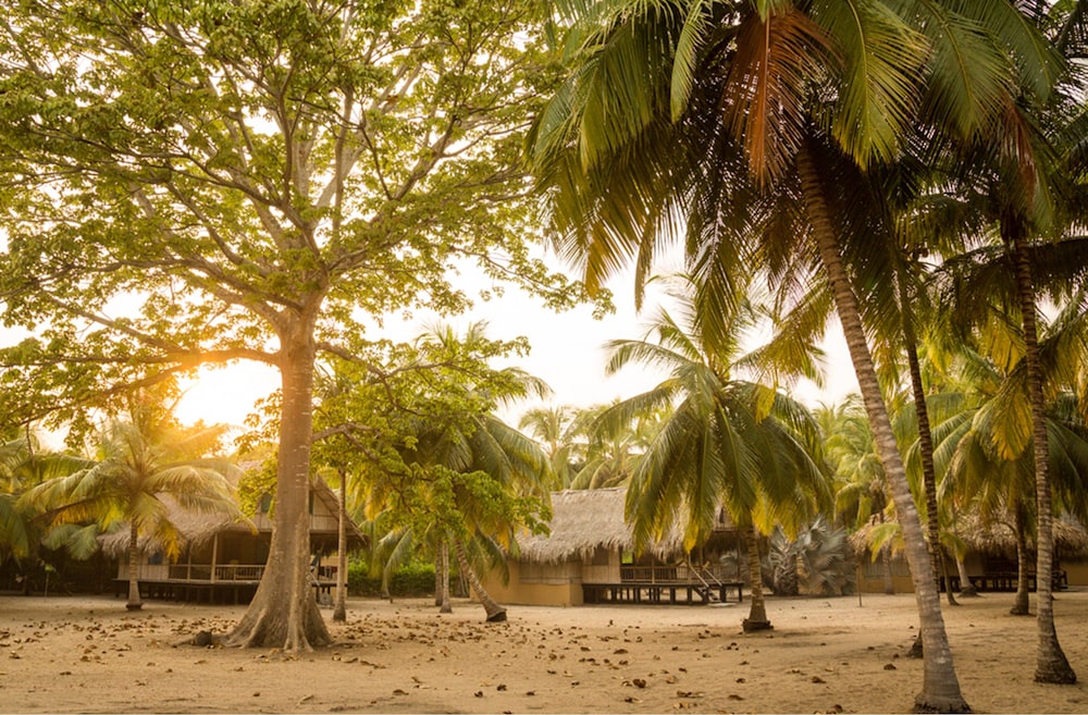 Reserva Natural El Matuy - Property Image 13