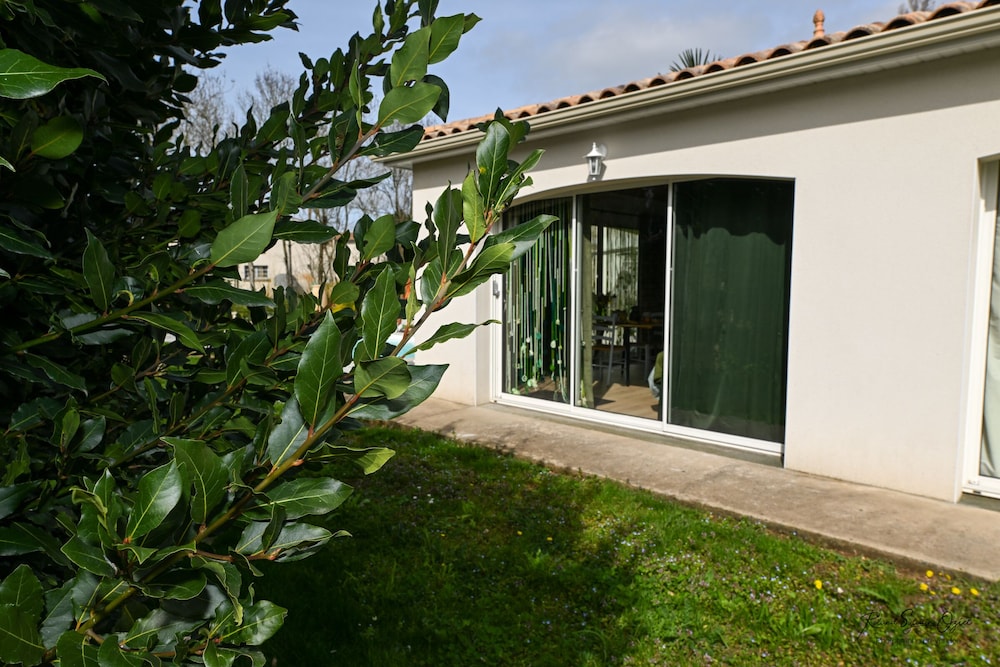 Photo 16