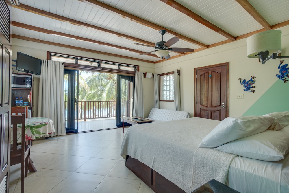 Buttonwood Belize