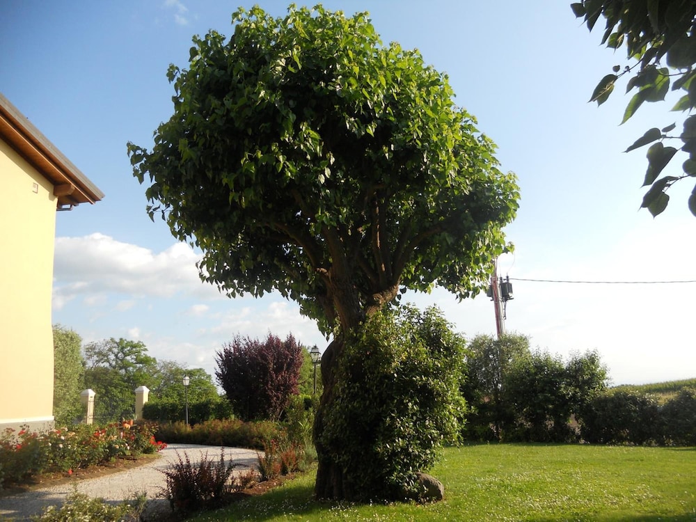 B&B Casa Pagliette