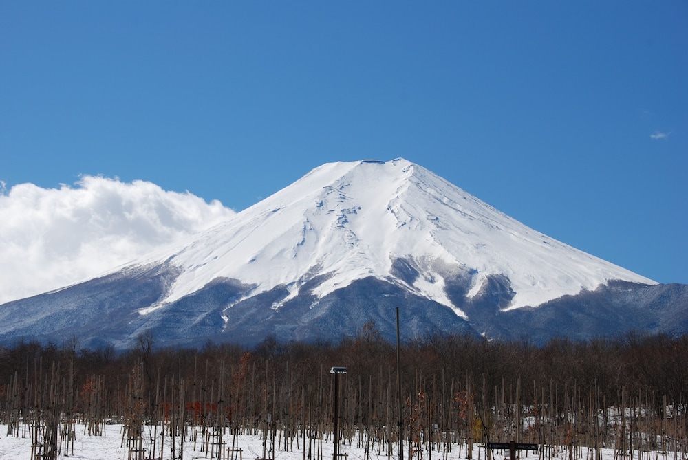 Guest House Yamanouchi