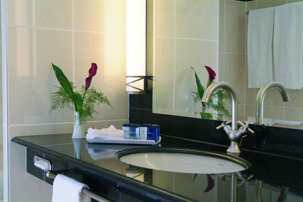 Dresden Vacations - Maritim Hotel  Internationales Congress Center Dresden - Property Image 57