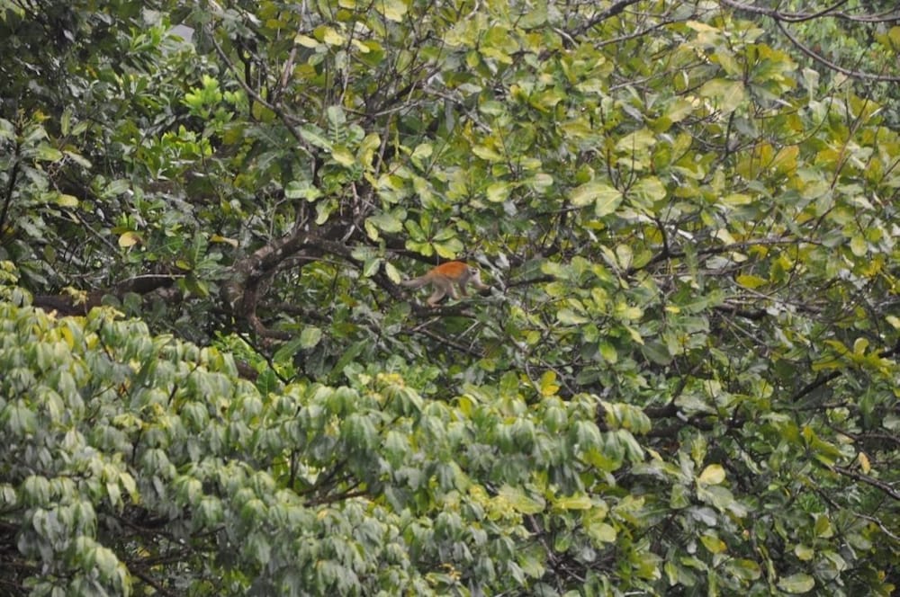 Rancho Las Tilapias