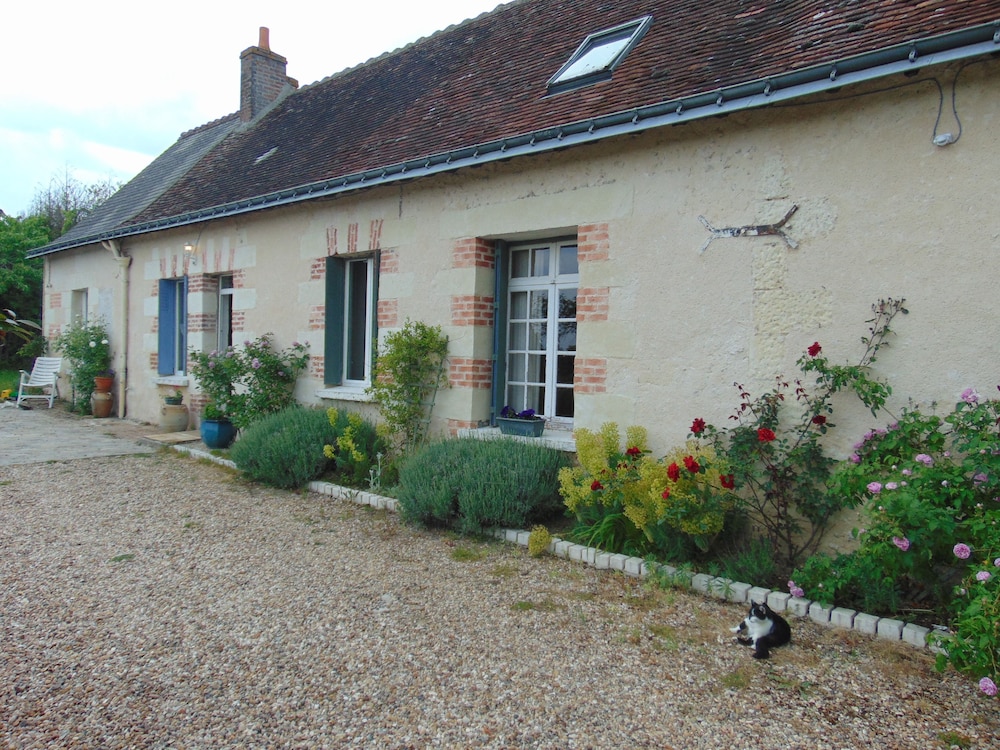 La Ferme aux Oies