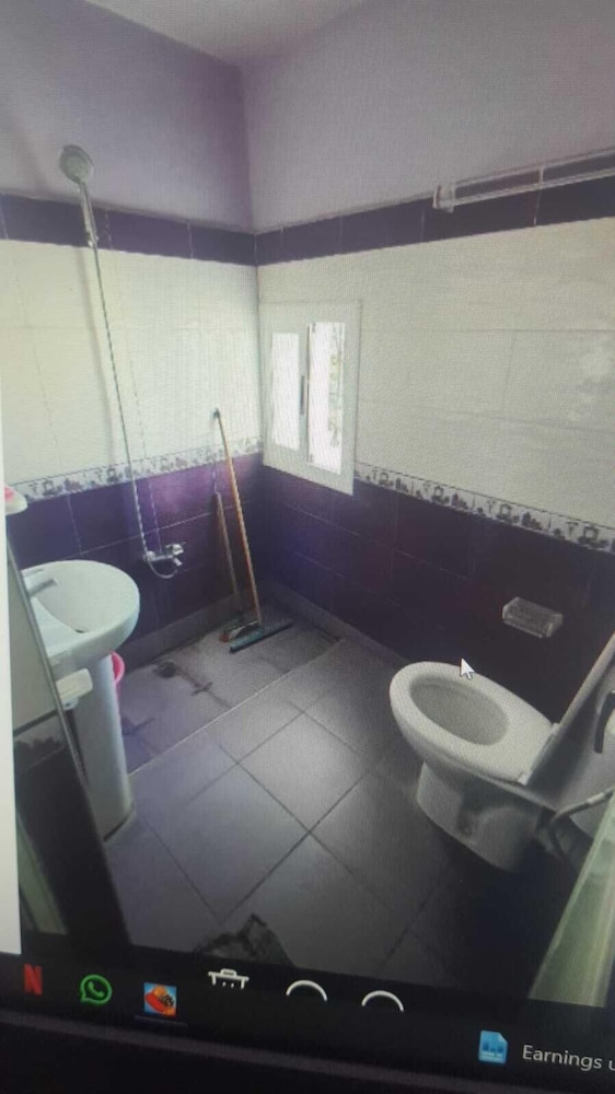 aline hostel