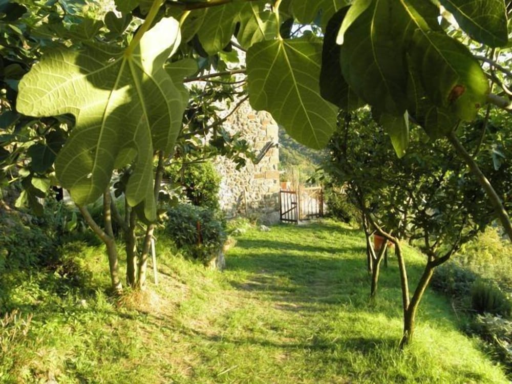 Photo 26