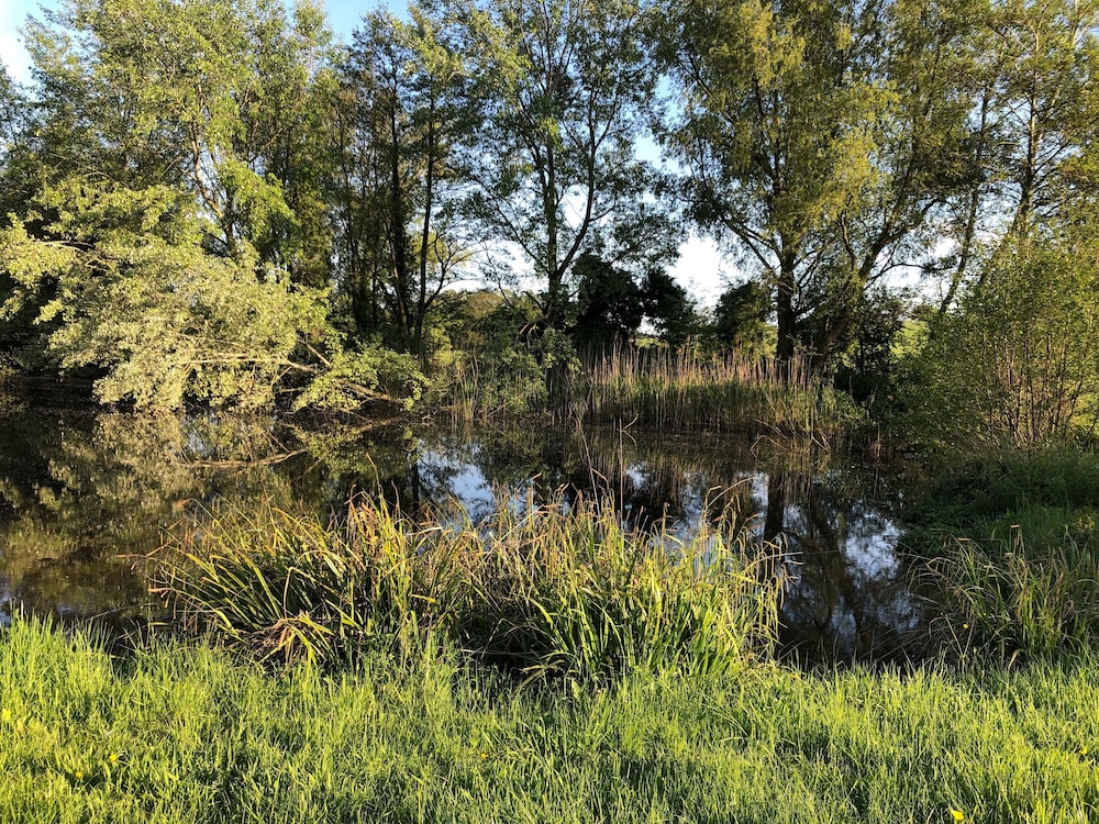 Photo 48