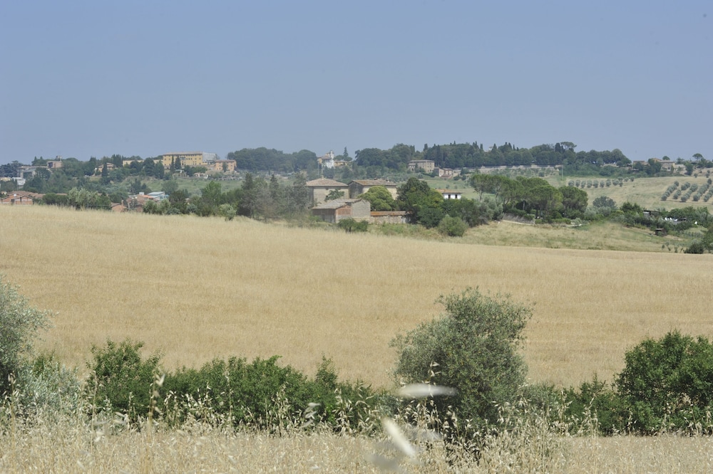 Il Pettirosso di Siena view 4