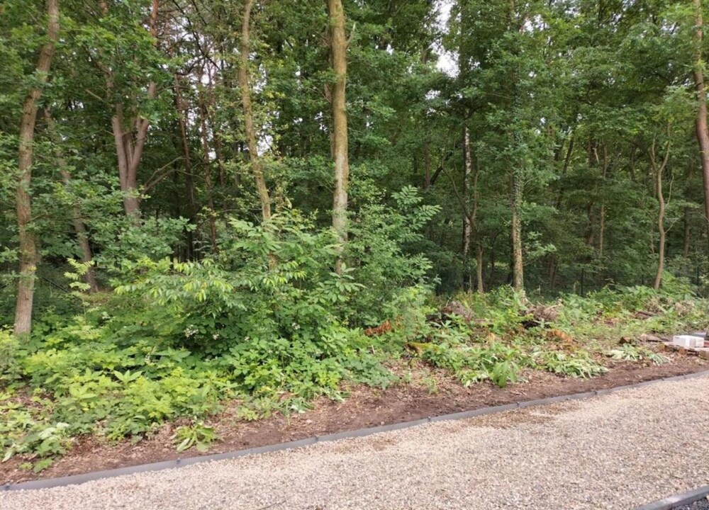 Zutendaal Forest Retreat