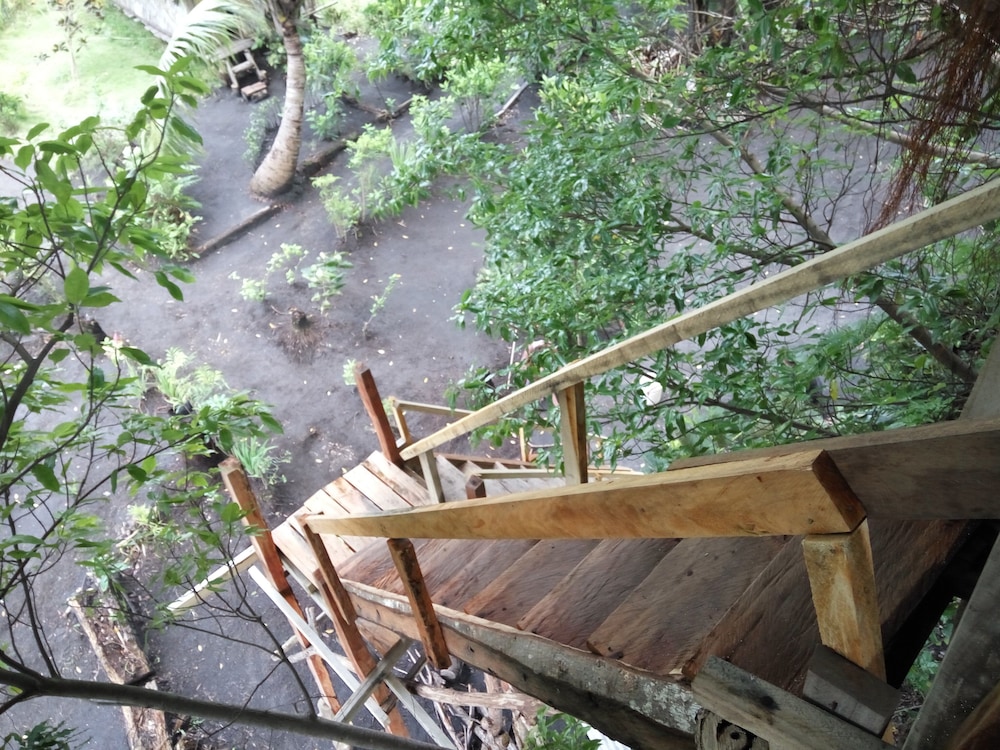 Castle Tree House