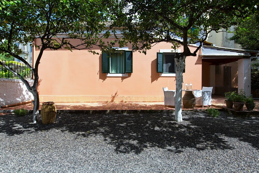 Photo 32