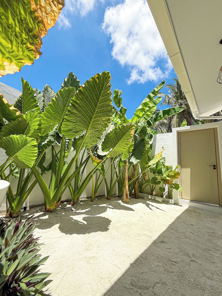 Tropicana Villas - Thoddoo