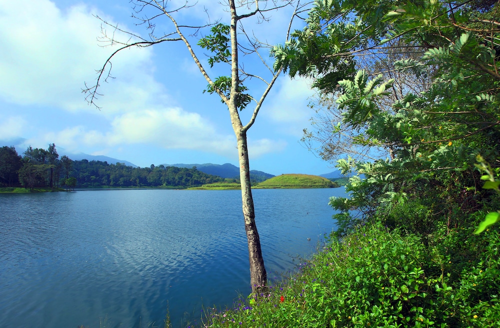 Petals Resorts Wayanad