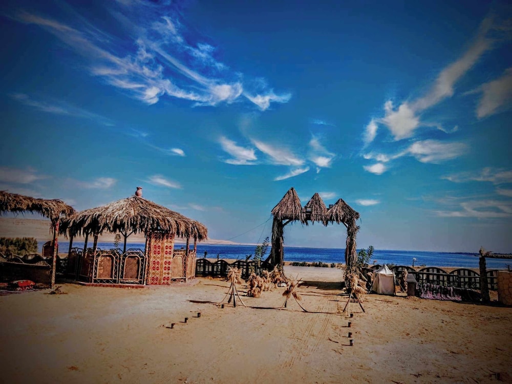 Flamingo Camp