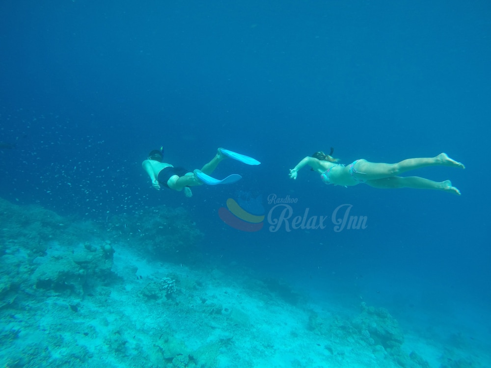Rasdhoo Relax Inn photo 4