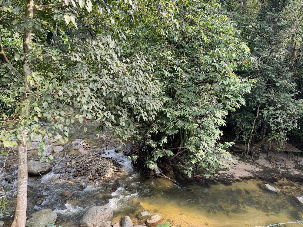 kuala woh resort