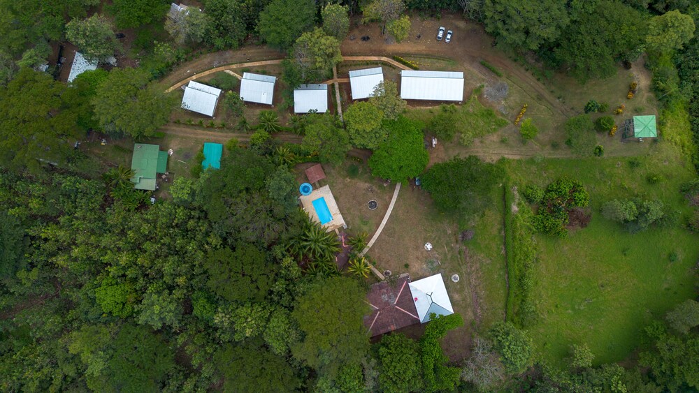Tarcoles Birding Lodge