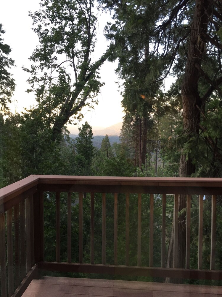 Treetop Cabin