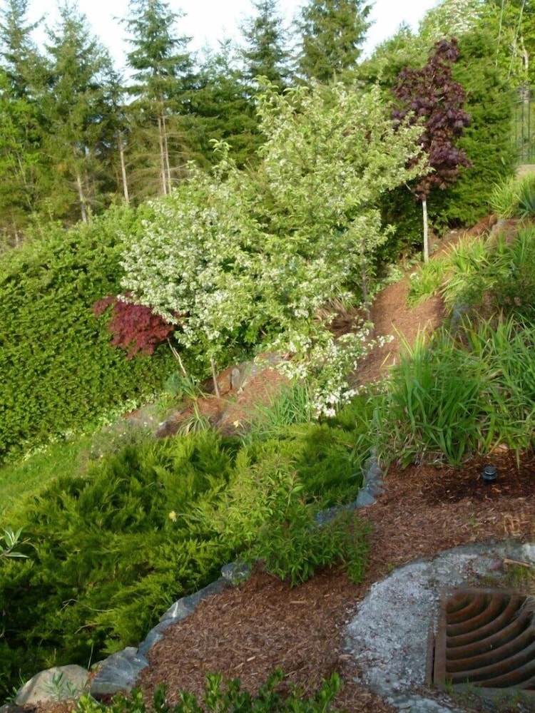 Panorama Bed and Breakfast