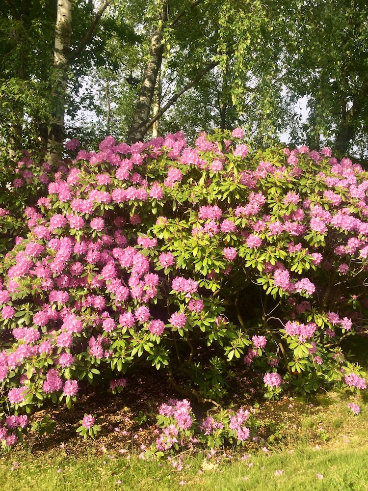 Swedish Idyll