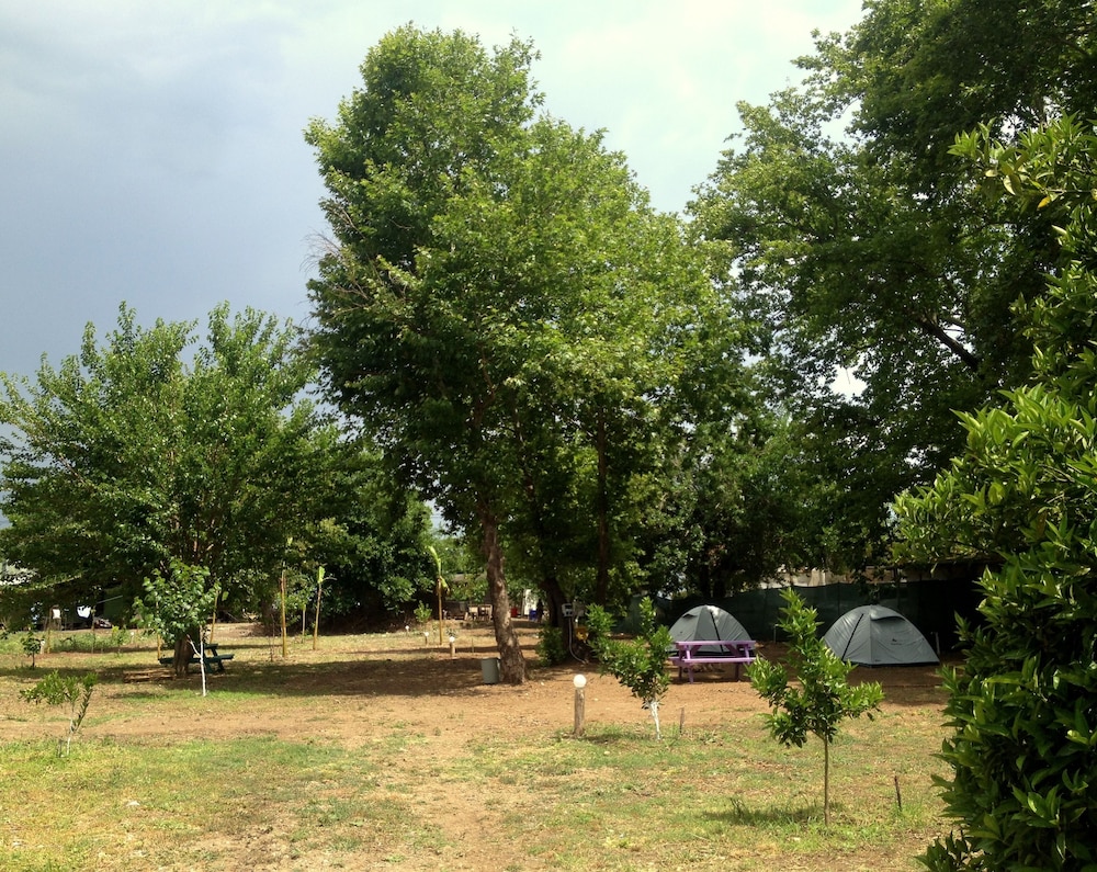 Bellerofon Camping