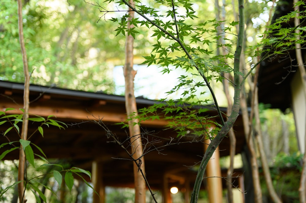 Yufuin Onsen Ryokan Mebaeso