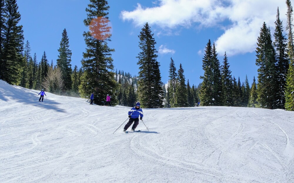 Pines 2147
