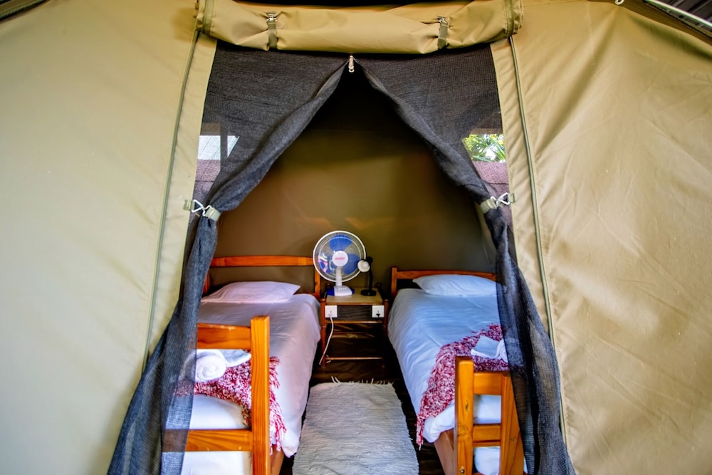 Shoestrings Backpackers & Bar