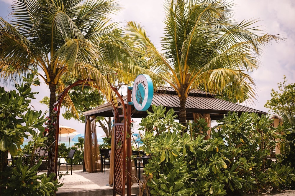 Bibee Maldives
