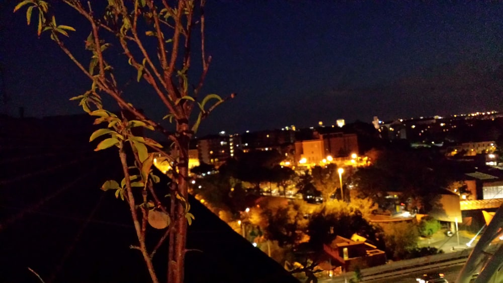 Trastevere 2