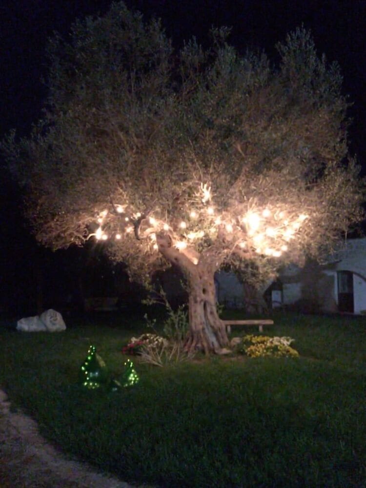 Masseria Pappo