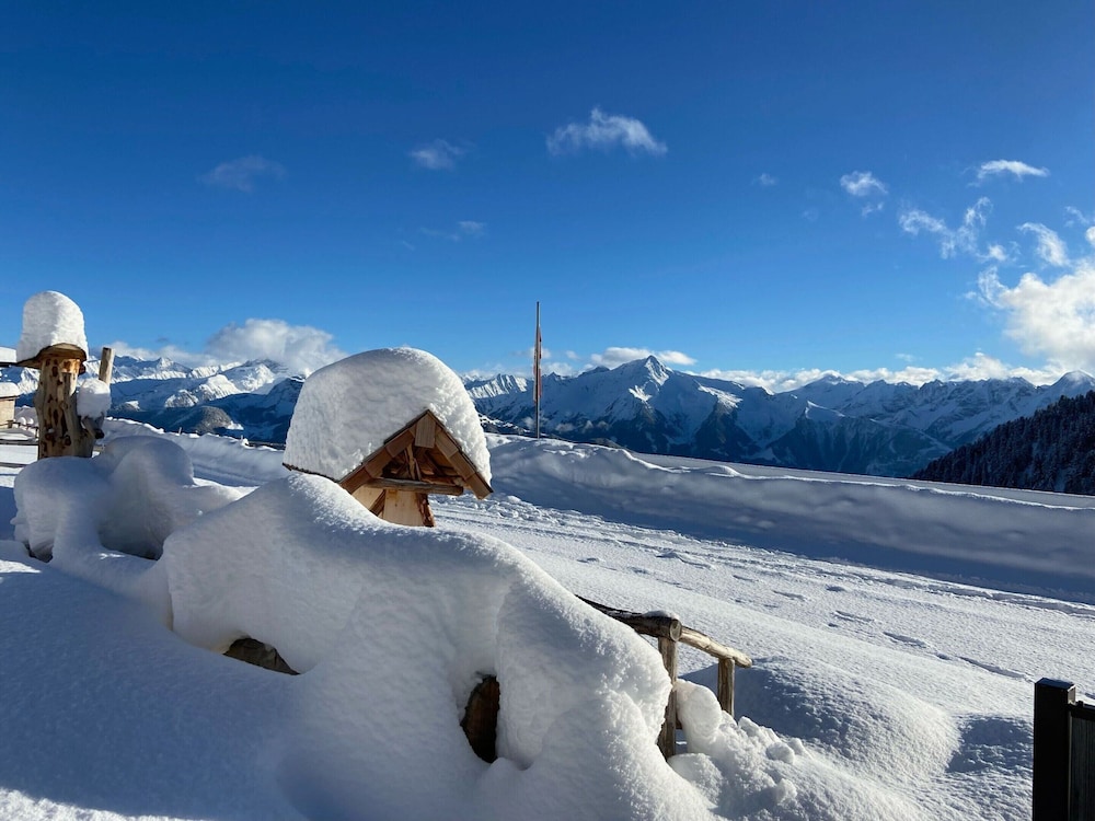 Unique Alpine Pasture in the Zillertal Mountains