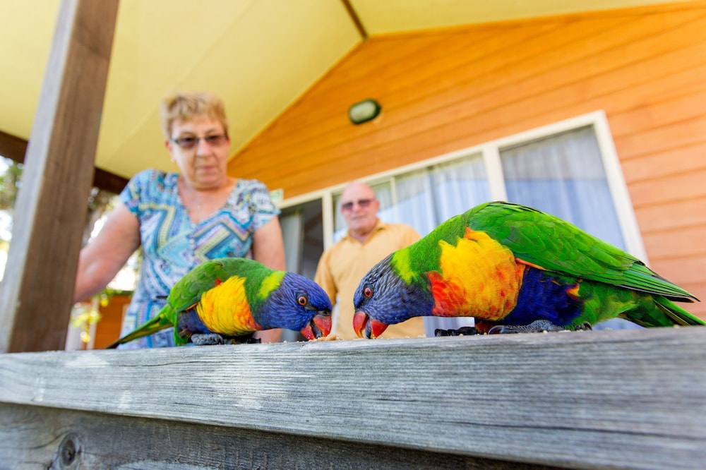 BIG4 Batemans Bay At Easts Riverside Holiday Park