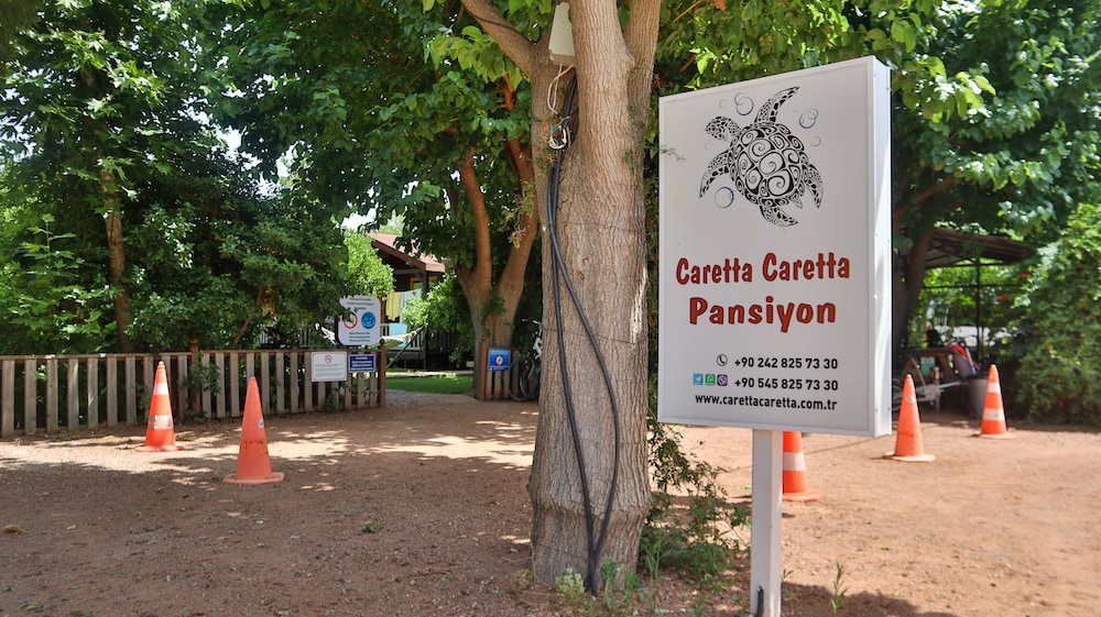 Caretta Caretta Pension