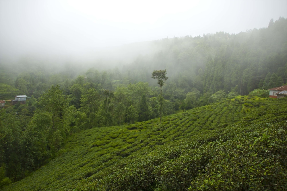 Goomtee Tea Garden Retreat