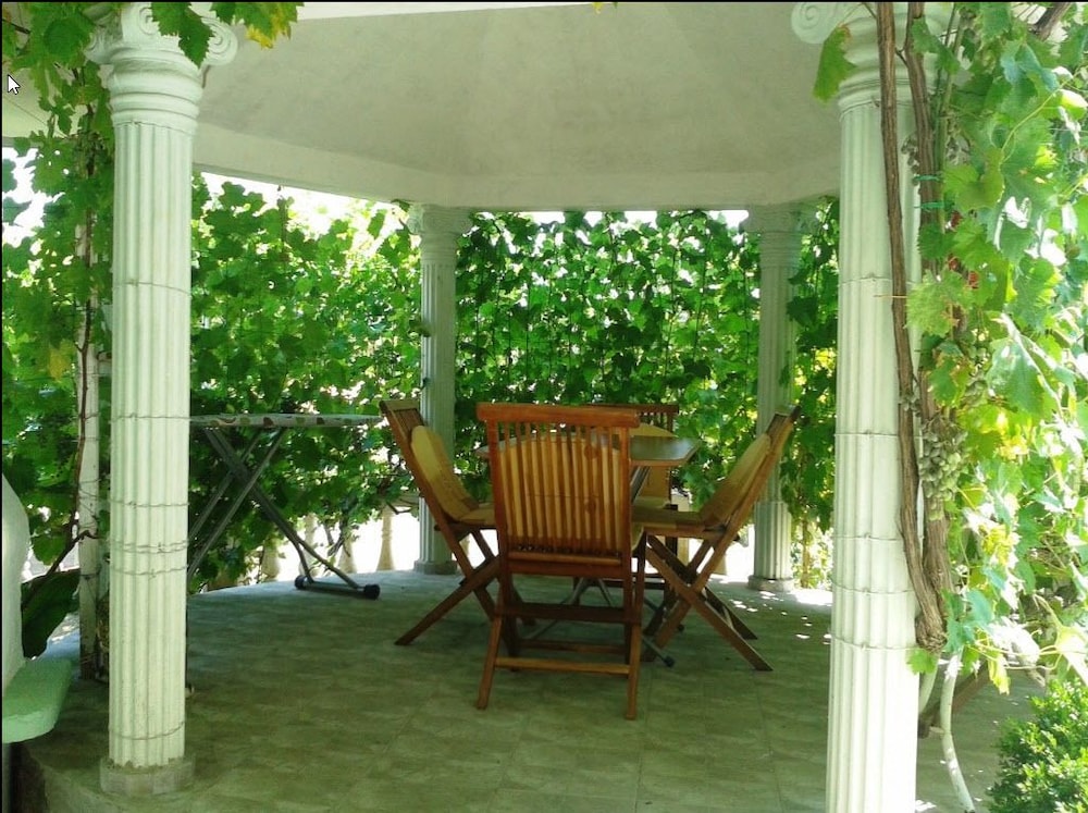 Vila Gerbera