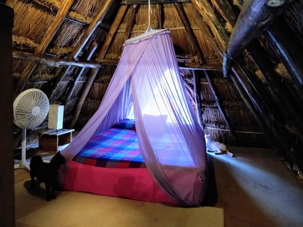 Casitas Kinsol