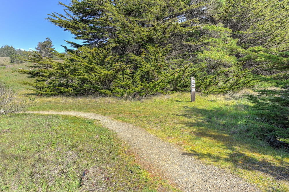 Meadow Lark view 3