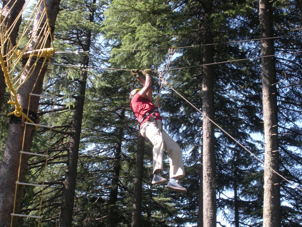 Aamod Dalhousie