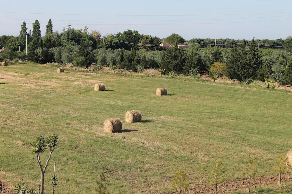 Tenuta Rinella
