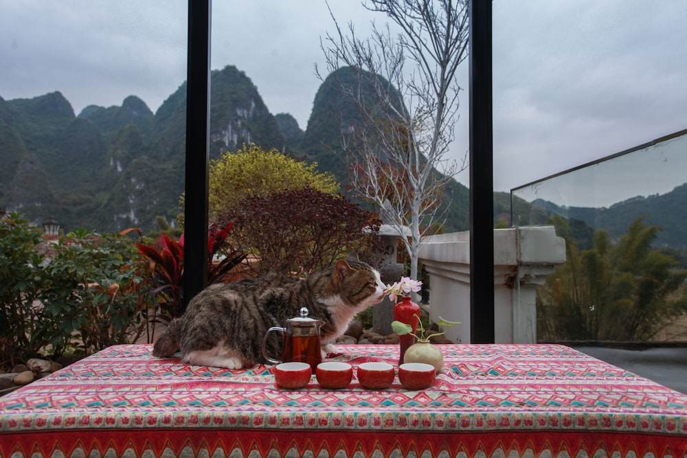 Yangshuo Xingping Island Resort