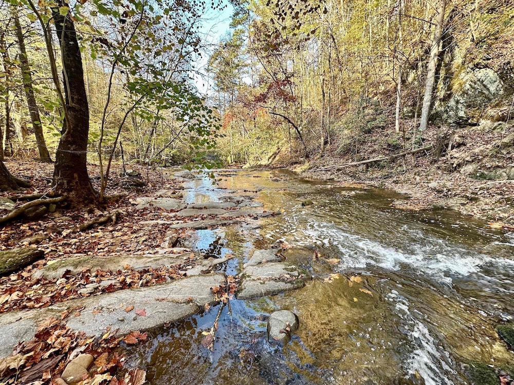 Cove Creek Overlook